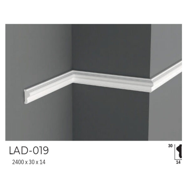 LAD-019